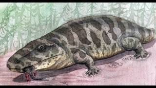 Prehistoric Information Eryops [upl. by Adam898]