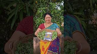 Tempting Hariyali Panneer👌🏻😋recipe odiacuisines food cookodiacooking indianfood YouTube [upl. by Enaywd]