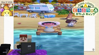 Jugando un poco de Animal Crossing Pocket Camp Día 17 1  SteveKingBob95552015 [upl. by Atiluj]