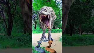 TRex chase dinosaurviralvideo shortvideo dinosaur jurassicworld [upl. by Kirst]