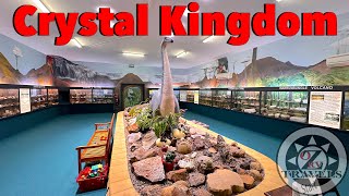 The Biggest Fossil collection in THE WORLD  Crystal Kingdom [upl. by Teraj368]