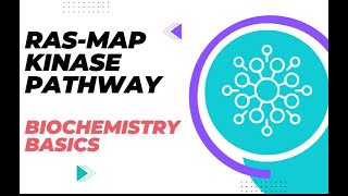 Understanding the RASMAP Kinase Pathway  Biochemistry Basics [upl. by Eidnarb432]