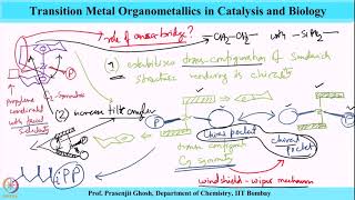 Week 11Lecture 52  Olefin Polymerization Part 13 [upl. by Pan]