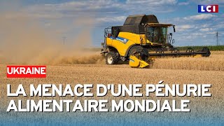 Bientôt une pénurie alimentaire mondiale [upl. by Drewett]