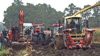 Harvesting Mais In The Mud  New Holland FX  Modderen  Vastzitten  Sundermeijer [upl. by Monto]