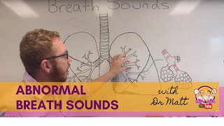 Abnormal Breath Sounds  Respiratory System [upl. by Ahsekan]