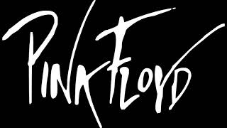 Pink Floyd  Live in San Diego 1971 Full Concert [upl. by Akineg]