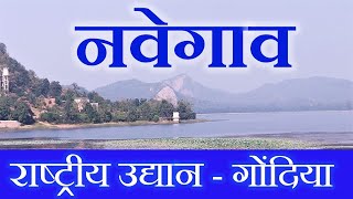 Maharashtra Gondia Tourism Navegaon National Park [upl. by Rye297]