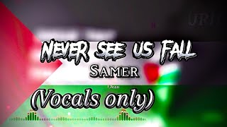 SAMER  NEVER SEE US FALL clean vocals only [upl. by Shenan728]