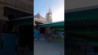 🙏Jay ma bibdi sikotar ma🙏trending viralvideo newsong jayeshkharvada [upl. by Pompei149]