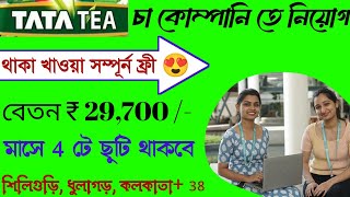 মাসে 29000 টাকা  প্যাকিং কাজ  Tata tea job vacancy 2024  High Salary job kolkata [upl. by Rand]