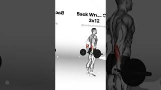 Strengthen Your Wrists Best Barbell Exercises for Powerful Grip [upl. by Yelsa]