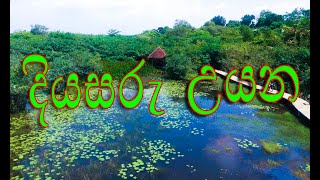 දියසරු උයන  තලවතුගොඩ Diyasaru Park Sri Lanka [upl. by Moselle]