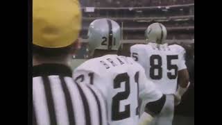 RARE Immaculate Reception 1972 Steelers vs Raiders Raiders Sideline POV Upscaled 60 FPS [upl. by Nolaj249]