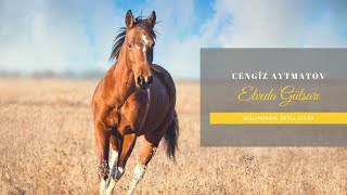 Cengiz Aytmatov  Elveda Gülsarı 4Bölüm  Sesli Kitap [upl. by Celeste114]