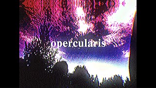 opercularis trailer scratch game [upl. by Eppesiug526]