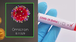 Heres the difference between omicron and delta 2 COVID19 variants [upl. by Philo275]