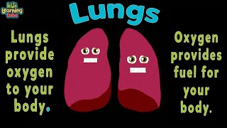 Lung Anatomy Song [upl. by Serra]