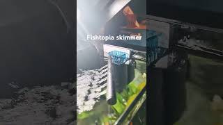 Biofilm skimmer from fishtopia🐟 [upl. by Peters]