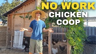 How to Design a Chicken Coop Automatic Food Water Easy to Clean [upl. by Ttegdirb]