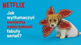 Człowiek co oglądasz  Jak wytłumaczyć swojemu zwierzakowi fabuły seriali  Netflix [upl. by Savick]