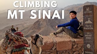 Mt Sinai the Epic Climb to the Summit Dahab Egypt  Cowell Chan [upl. by Noteloc]