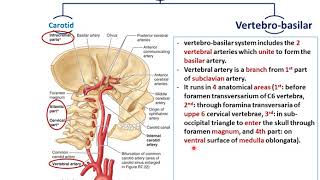 What Is A Stroke  Narration and Animation by Dr Cal Shipley MD [upl. by Laszlo]