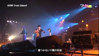 LIVE アニうた KITAKYUSHU 2011 AKINO from bless4 [upl. by April]