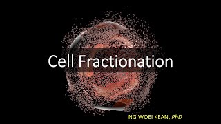 Cell Fractionation Homogenisation  Centrifugation [upl. by Moody203]