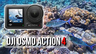 DJI Osmo Action 4  Underwater Footage  DLog M Color Graded [upl. by Romeon]