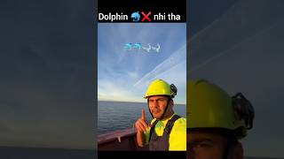 Wo Dolphins nhi tha dosto❌🙏😱😅msc ship wheels dolphin shark youtubeshorts viralvideo trending [upl. by Pansie]