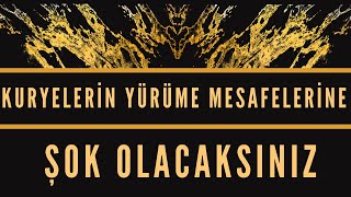 KURYELERÄ°N YÃœRÃœME MESAFELERÄ°NE ÅžOK OLACAKSINIZ ve ÅžÄ°KAYETLERÄ° [upl. by Israeli350]