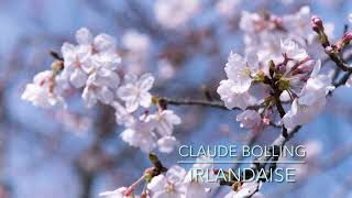 Irlandaise  Claude Bolling Flute Cover [upl. by Siramaj]