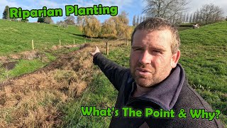 Filling In Holes Riparian Planting Update amp Im Going To Keep My Empty Heifers [upl. by Eli]