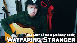 Wayfaring Stranger Cover  Johnny Cash The Last of Us 2 Version [upl. by Htomit]