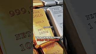 Villa Owner EXPOSES Gold VS Silver [upl. by Shull184]