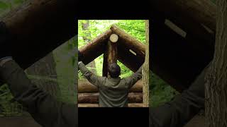 Building a Log Cabin in the Woods from WindFallen Trees  FULL VIDEO ON MY CHANNEL [upl. by Ngo83]