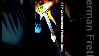 Crackerman Bass Cover Fretless – Stone Temple Pilots basicallybassguitar Crackerman STP bass [upl. by Nynahs]