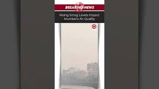 Smog Shrouds Mumbai as Air Quality Worsens [upl. by Nanci581]