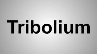 How To Pronounce Tribolium [upl. by Anneyehc504]