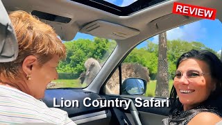 Take a Tour of Lion Country Safari The DriveThrough Zoo in West Palm Beach [upl. by Ewan]