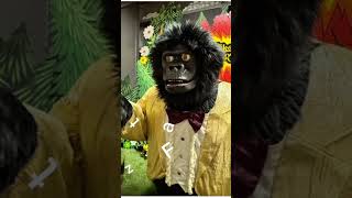 RockAfire Explosion Animatronics [upl. by Alleon]