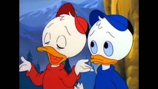 Scrooges Pet Part 4  Ducktales Hindi  Ducktales Season 1 [upl. by Gensler]