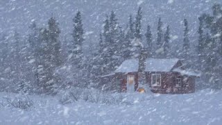 Schneesturmgeräusche Helfen Ihnen Tief Zu Schlafen  Winterluft Und Starker Schneefall [upl. by Eigger]