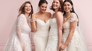 More Styles amp Sizes for You  Davids Bridal [upl. by Tapes]