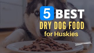 ⭕ Top 5 Best Dry Dog Food for Huskies 2024 Review and Guide [upl. by Ahsaela]