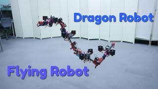 The Dragon Robot  Flying Robot  RoboMaker [upl. by Mintun]