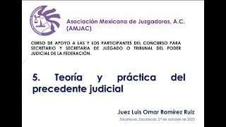 Temas  Sentencia  Teoría y práctica del precedente judicial [upl. by Eldora]