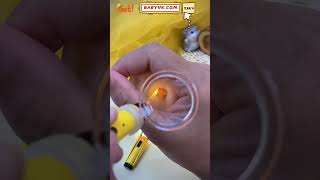 Ear Wax Removal Kit With Magnifier and Light [upl. by Vocaay998]