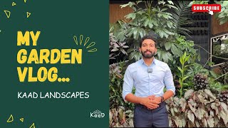 MY GARDEN VLOG  കാടായി മാറിയ ഓഫീസ്  INDOOR AND OUTDOOR PLANTS  MALAYALAM [upl. by Clower]